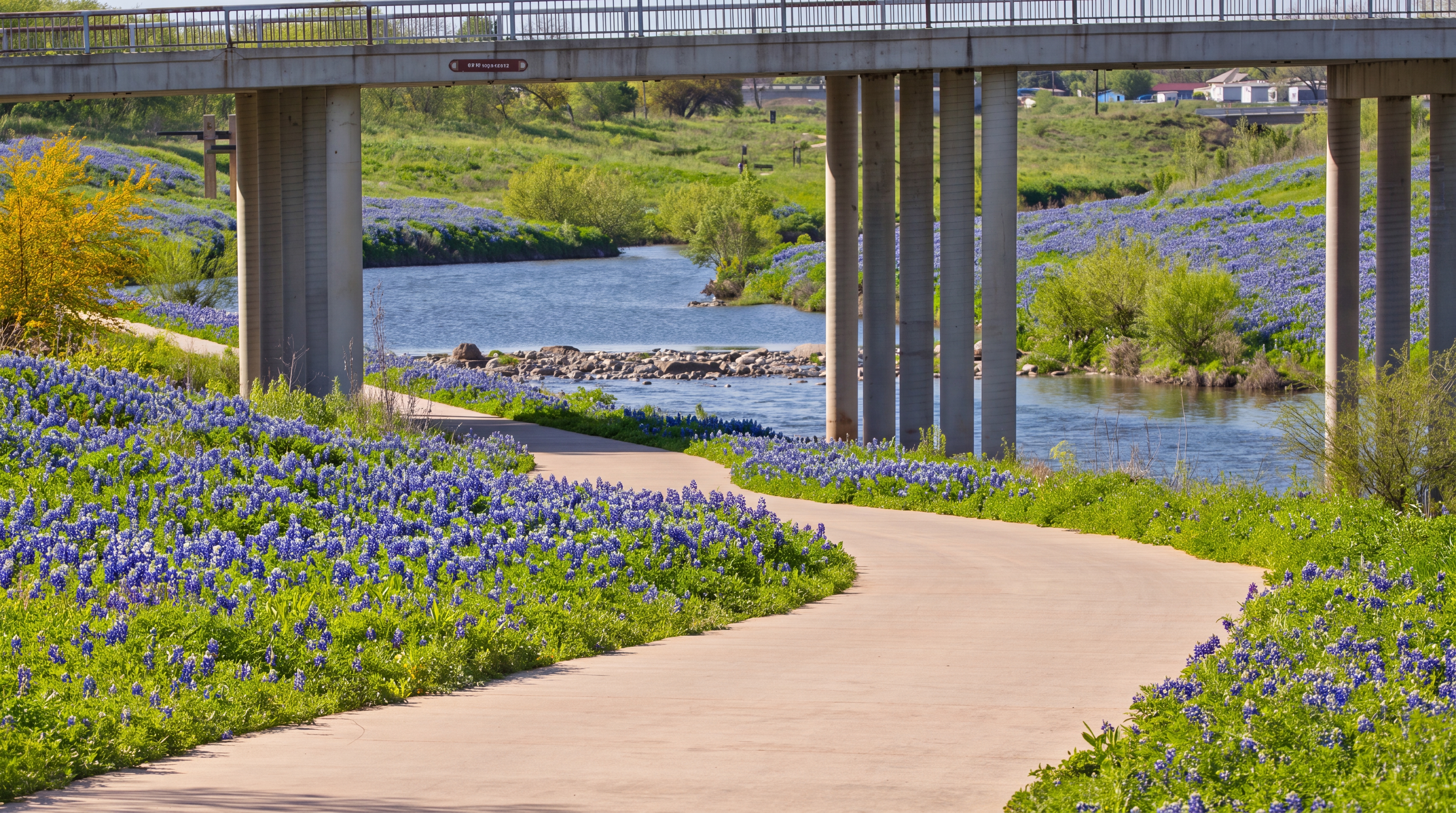 A scenic panoramic landscape featuring vibrant fields of Texas bluebonnets under a wide sky, grounded in the historic landscape.